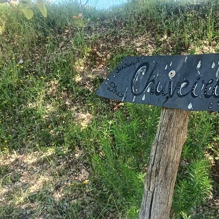 Quinta D' Luzarcoiris Villa Arganil Dış mekan fotoğraf