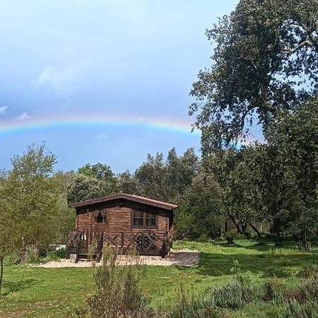 Quinta D' Luzarcoiris Villa Arganil Dış mekan fotoğraf