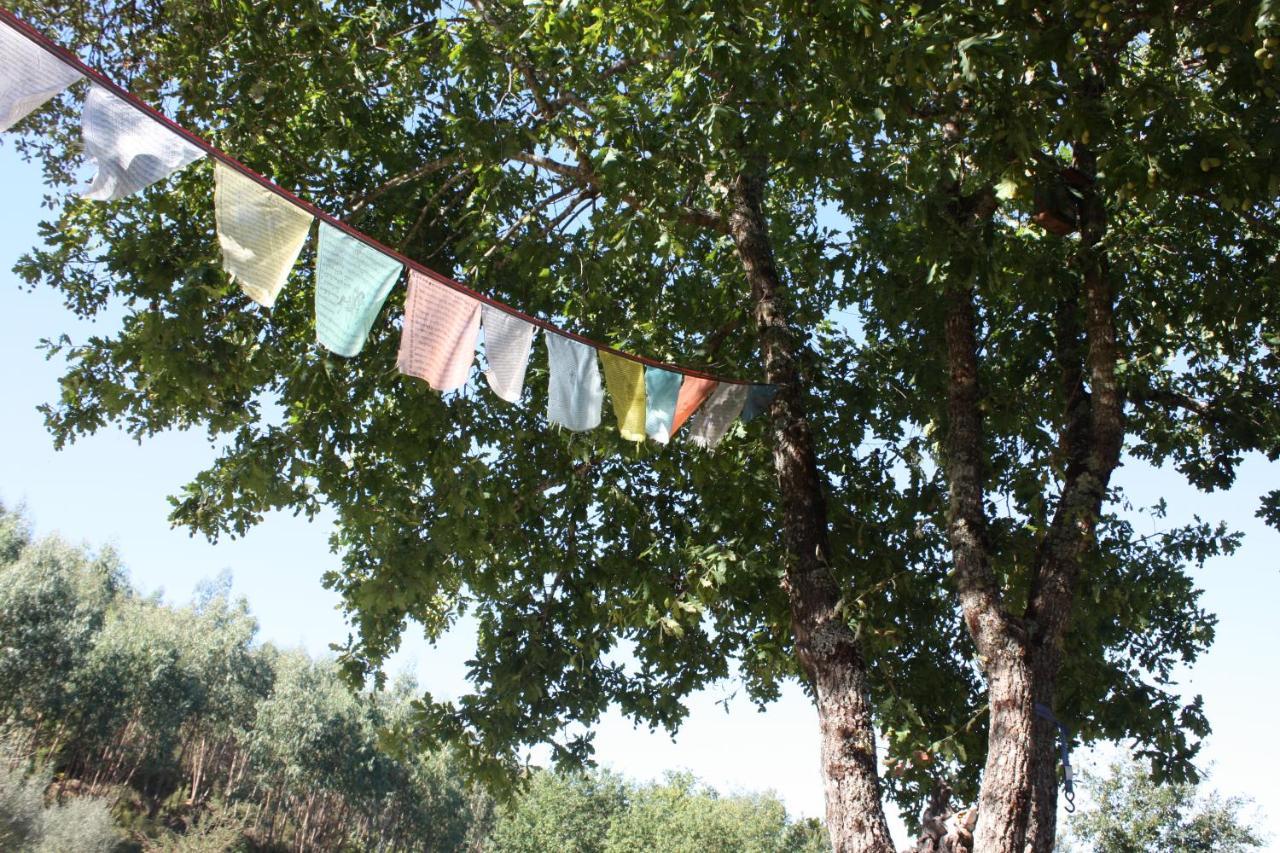Quinta D' Luzarcoiris Villa Arganil Dış mekan fotoğraf