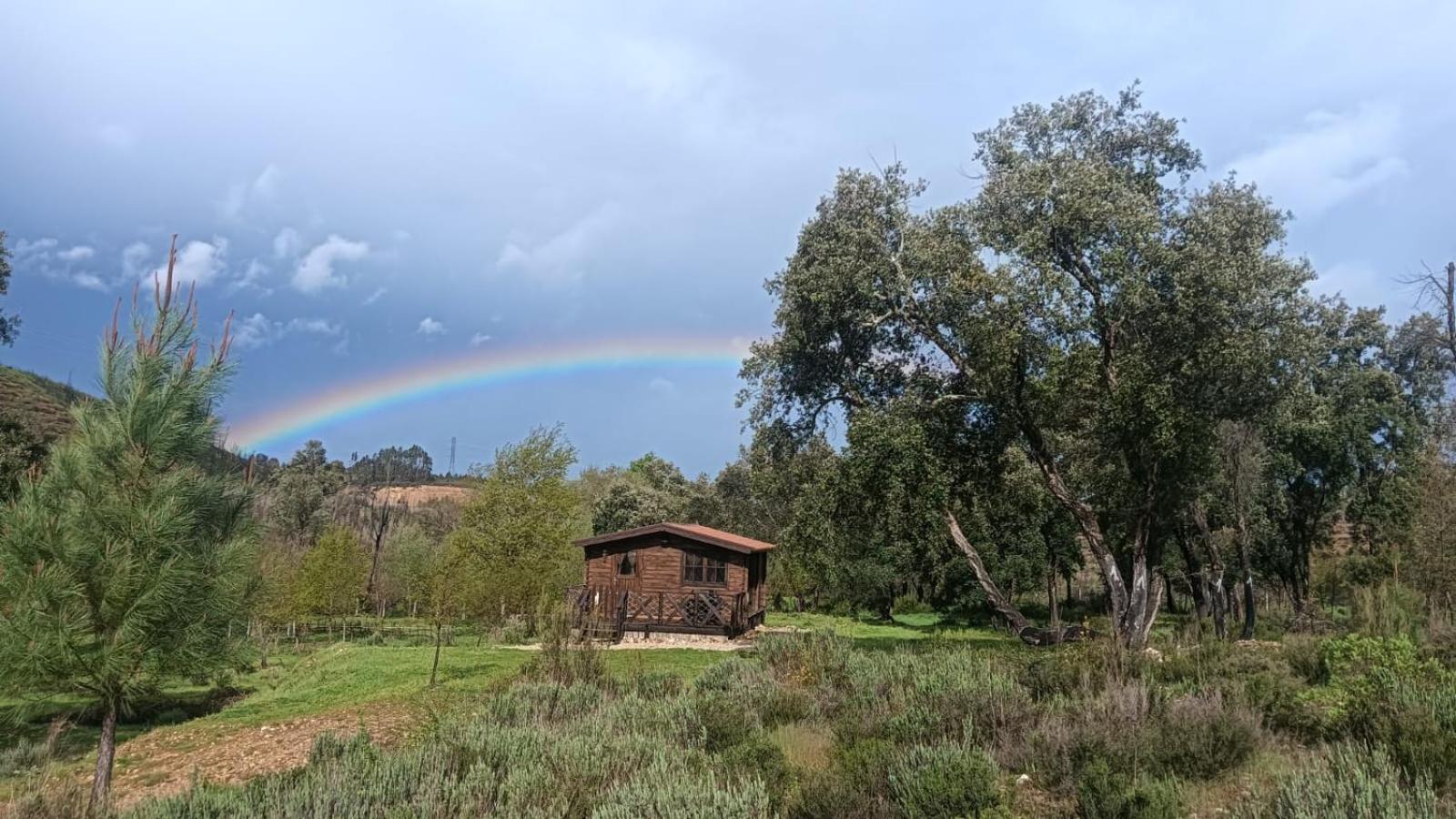 Quinta D' Luzarcoiris Villa Arganil Dış mekan fotoğraf