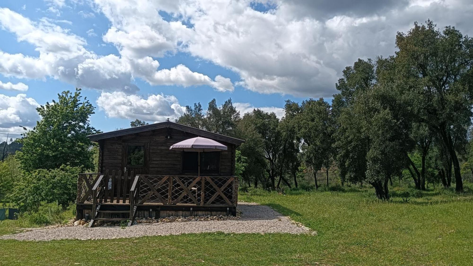 Quinta D' Luzarcoiris Villa Arganil Dış mekan fotoğraf