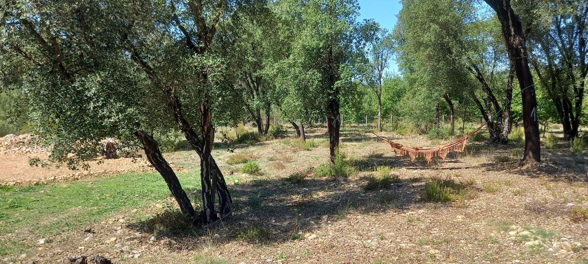 Quinta D' Luzarcoiris Villa Arganil Dış mekan fotoğraf