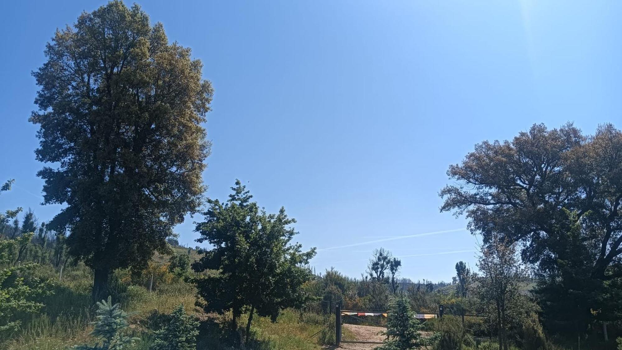 Quinta D' Luzarcoiris Villa Arganil Dış mekan fotoğraf