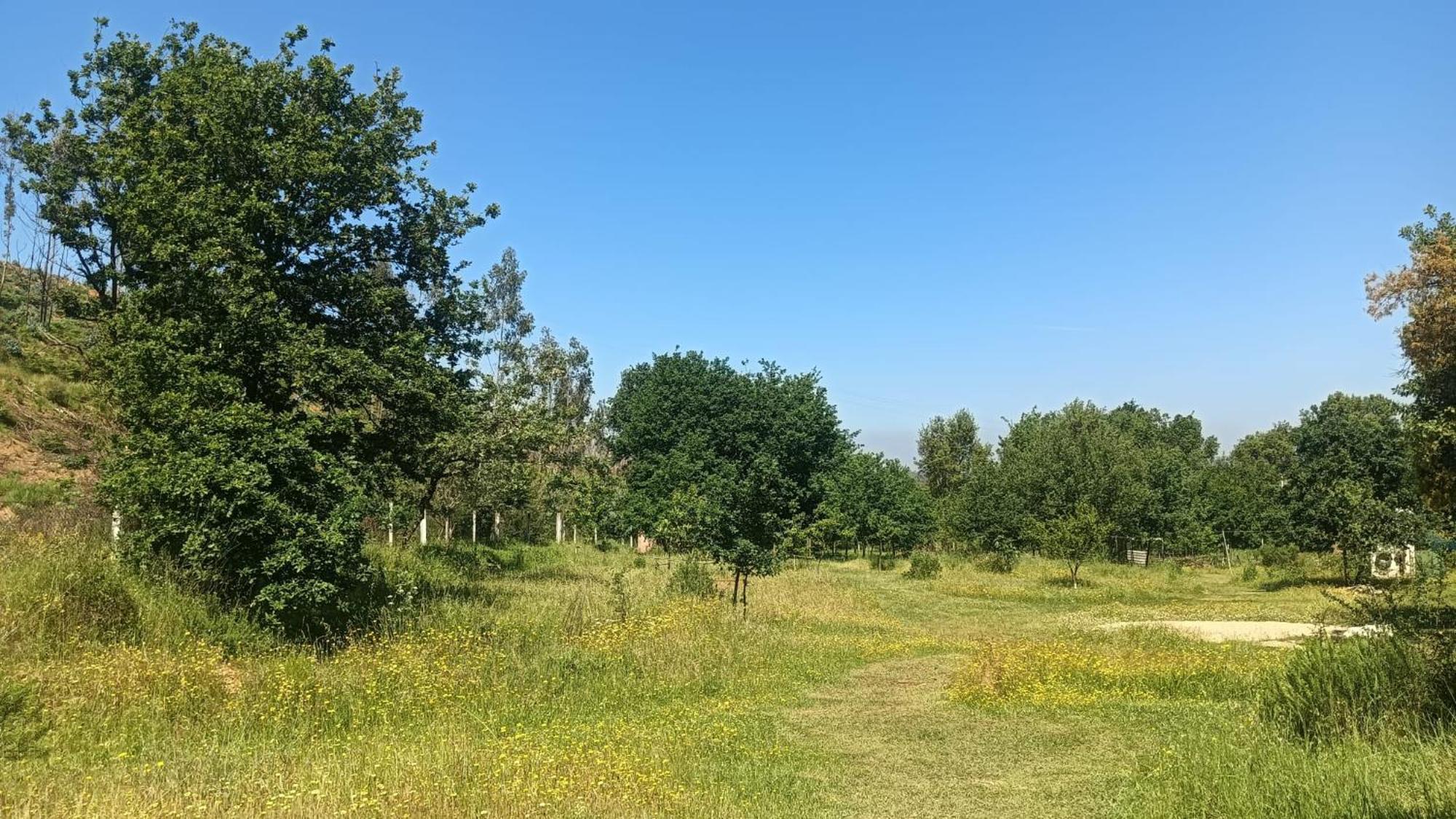 Quinta D' Luzarcoiris Villa Arganil Dış mekan fotoğraf