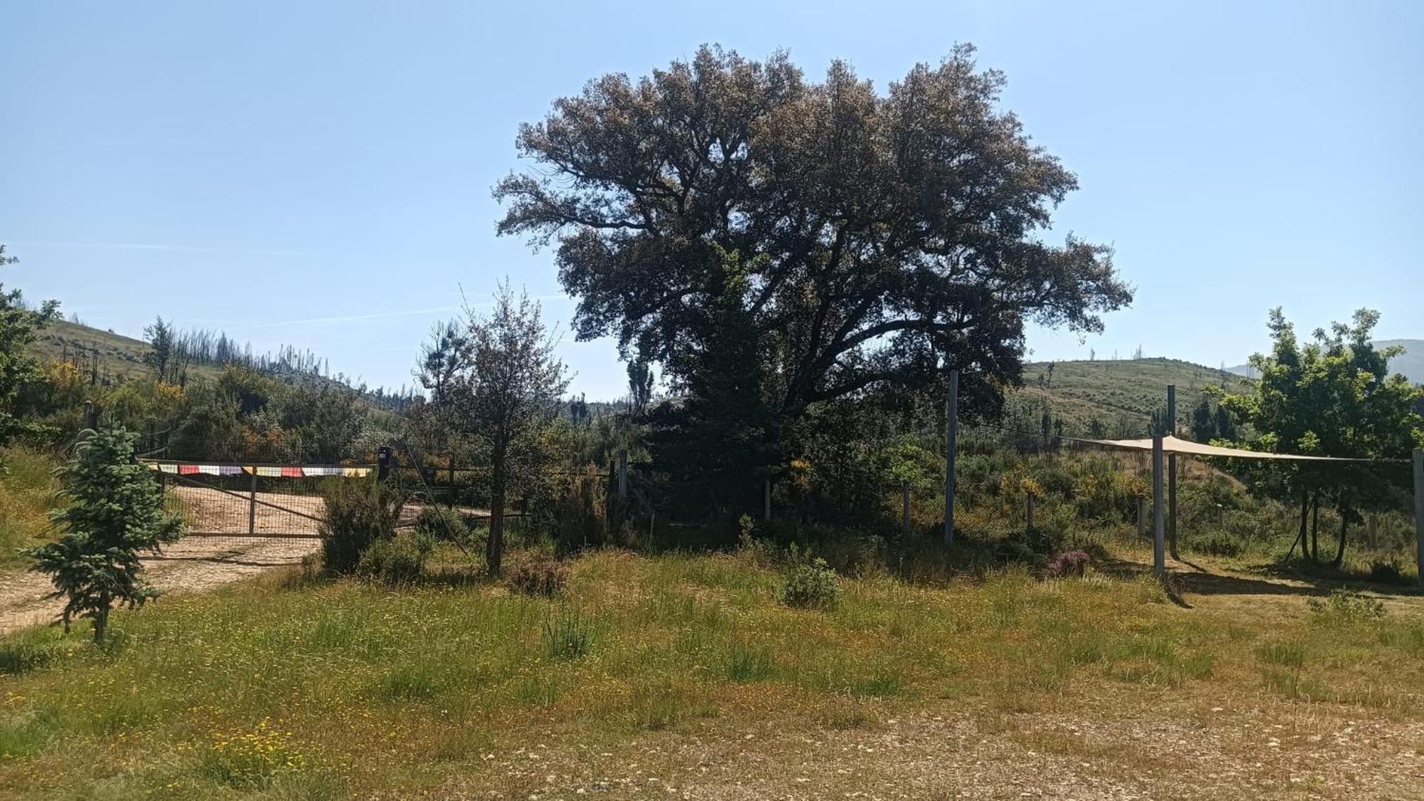 Quinta D' Luzarcoiris Villa Arganil Dış mekan fotoğraf