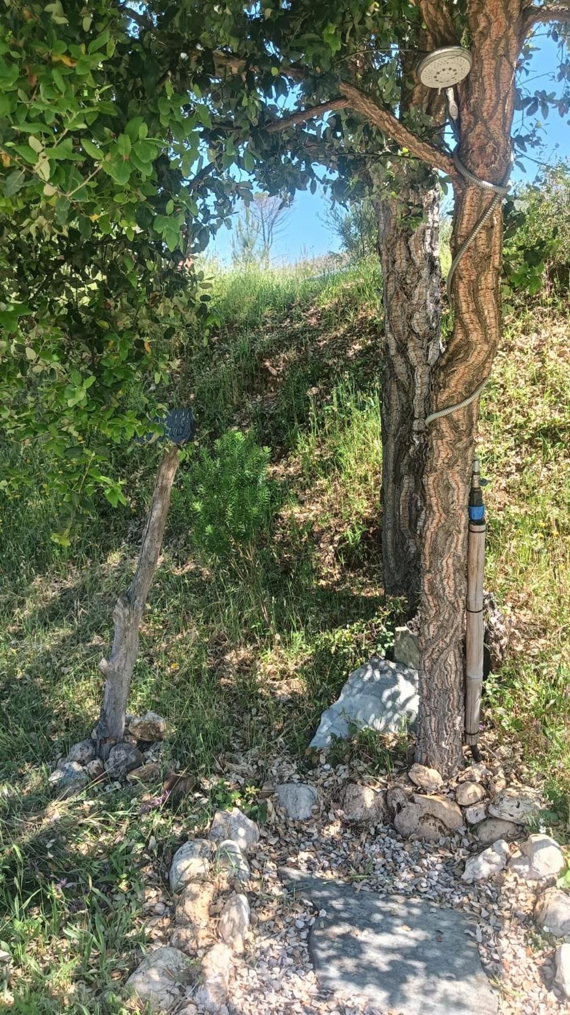 Quinta D' Luzarcoiris Villa Arganil Dış mekan fotoğraf